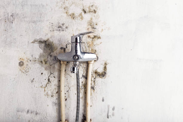 Best Mold Removal Near Me  in Devens, MA