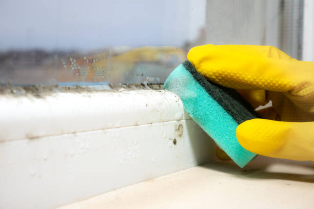 Best Emergency Mold Removal  in Devens, MA