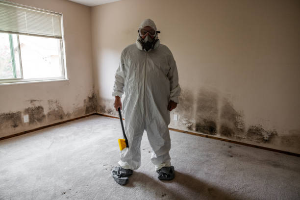 Best Residential Mold Removal  in Devens, MA