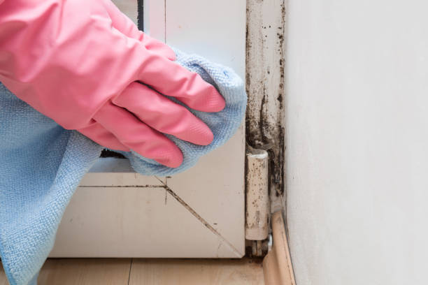 Best Mold Testing  in Devens, MA